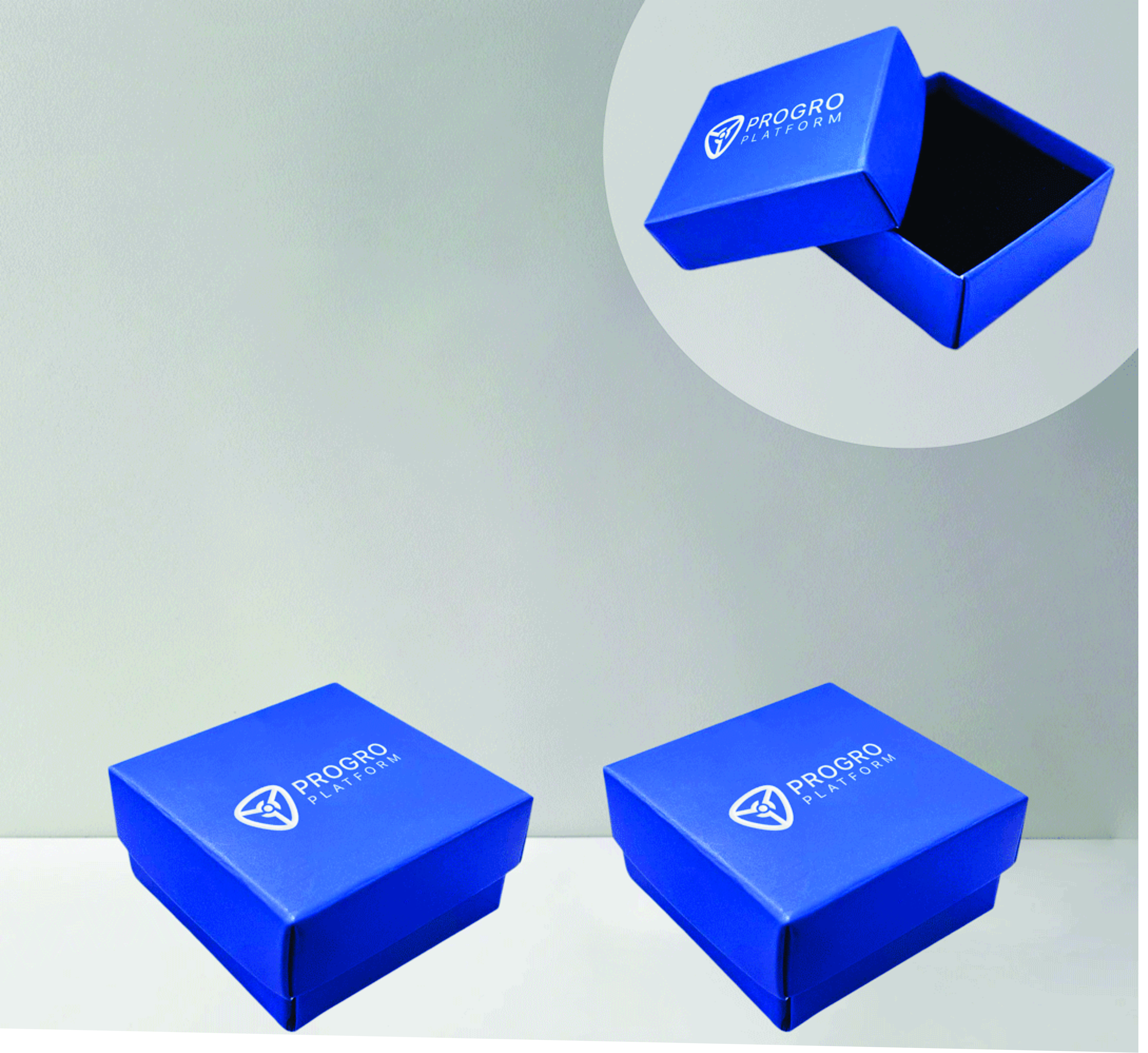 Qutu (rozet üçün)